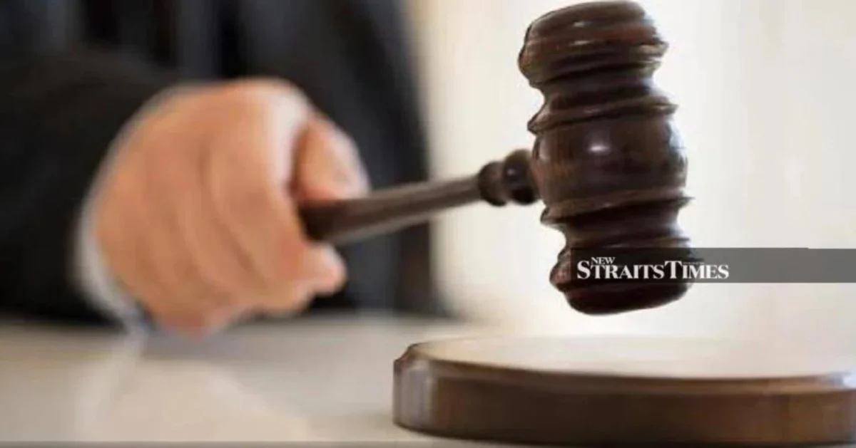 Lorry Driver Cleared in Stolen Cattle Case as Dangerous Driving Trial Continues