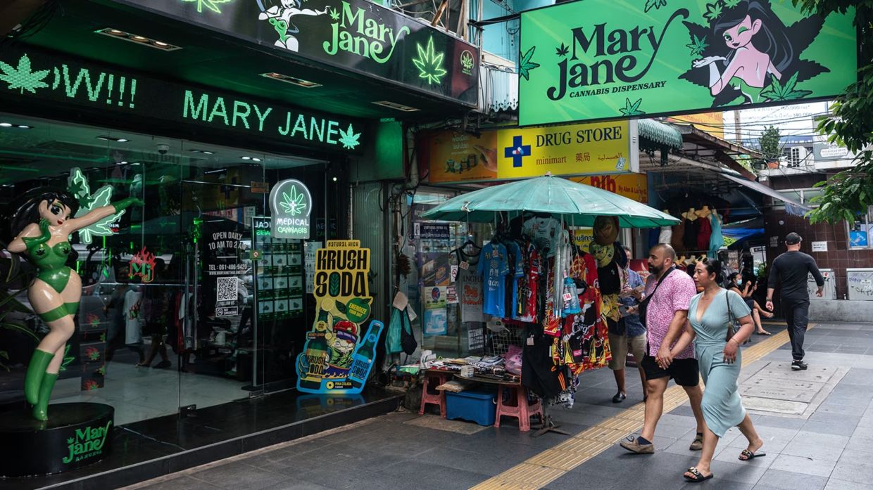 Thailand's Cannabis Quandary: Policy Review Exposes Deep Divides Over Regulation