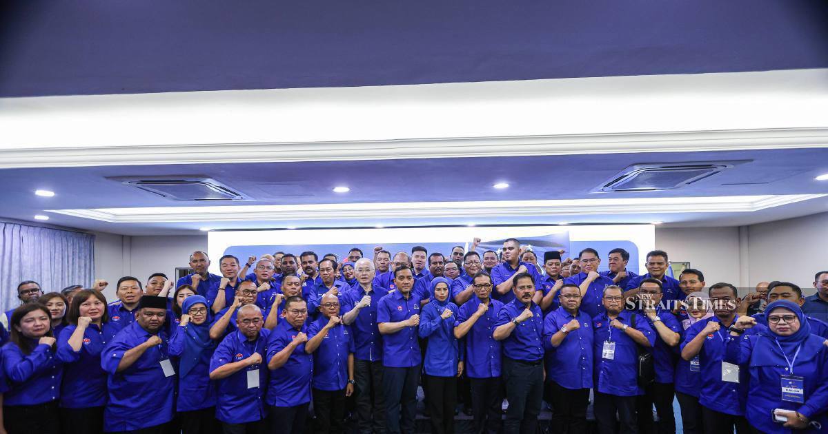 Barisan Nasional fields full slate of 56 candidates for Johor's July 11 election