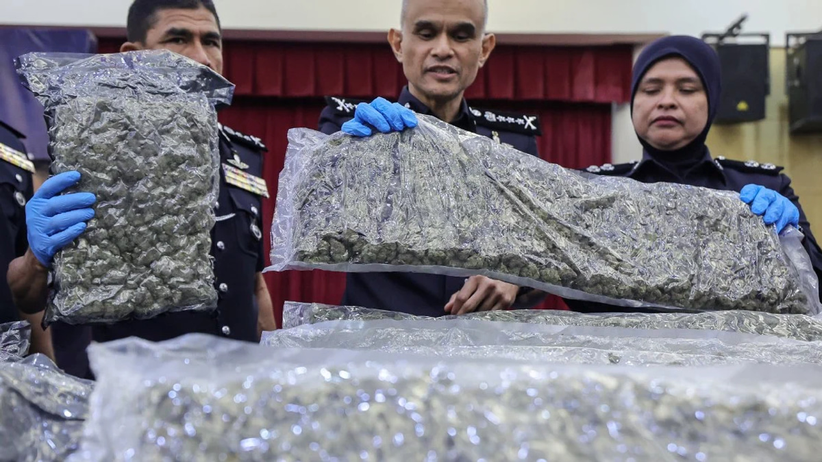 Police Bust Major Cannabis Trafficking Ring at KLIA, Netting 650kg of Buds and 38 Arrests
