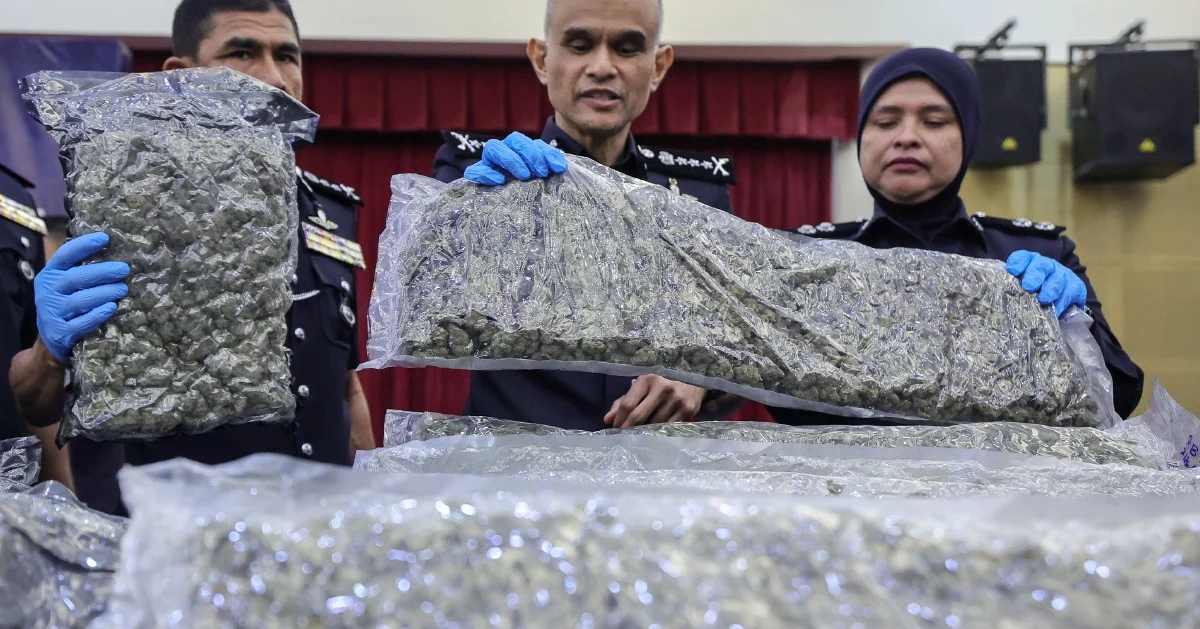 Police Bust Major Cannabis Trafficking Ring at KLIA, Netting 650kg of Buds and 38 Arrests