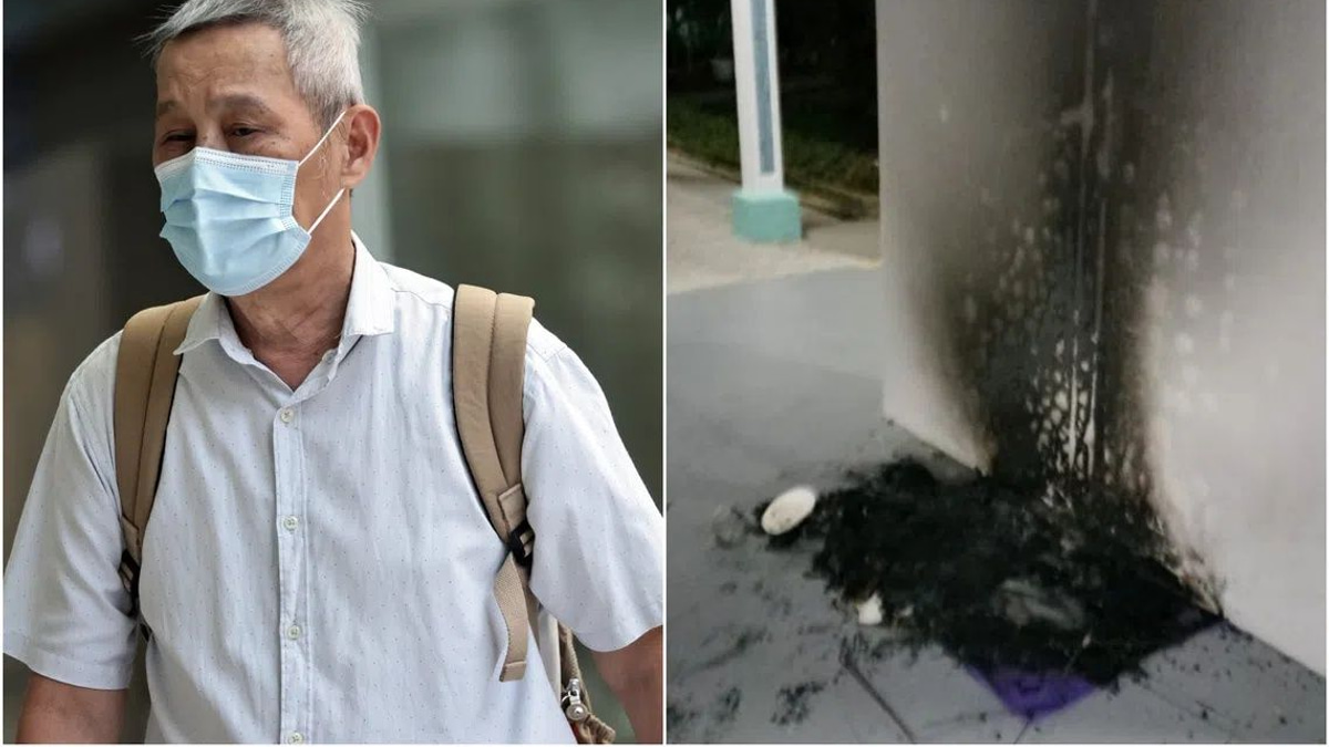 Singapore Man Jailed for Burning Community Cat Shelters in Bukit Batok