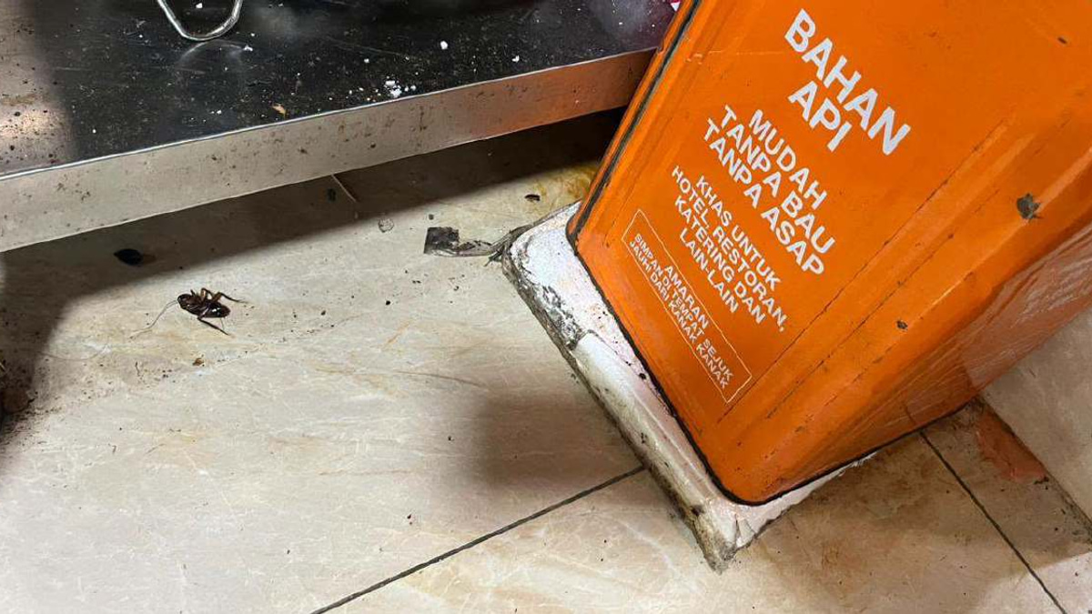 DBKL Cracks Down on Hygiene Violations at Jalan Alor, Closes Six Eateries