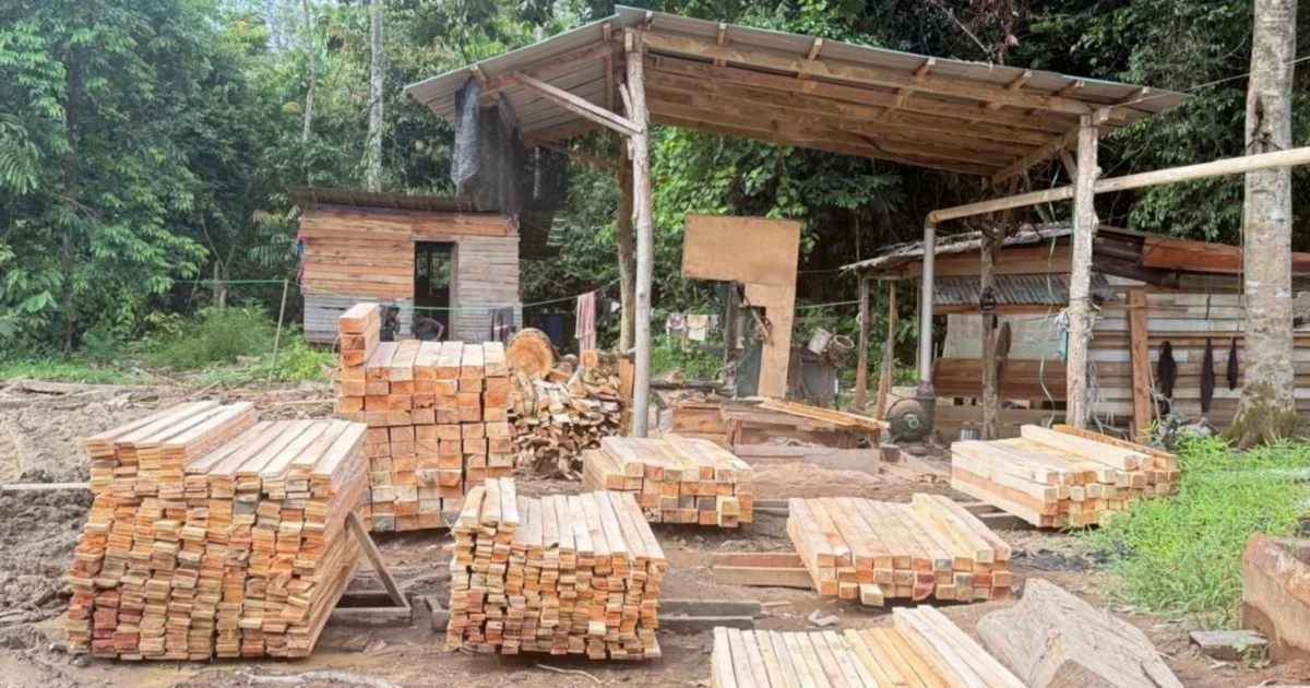 Five arrested as authorities uncover major illegal logging operation in Kelantan