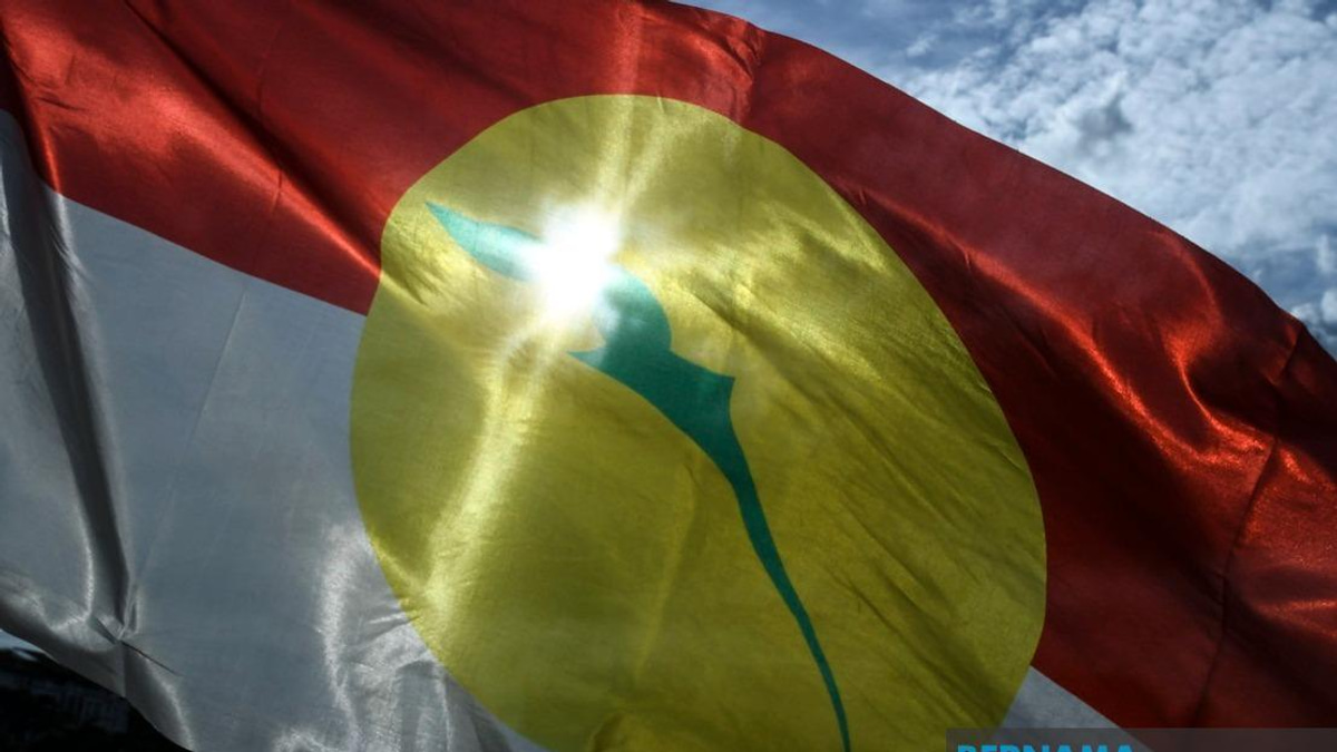 UMNO Members Must Put Party Before Personal Grievances in Johor Election, Says Azalina