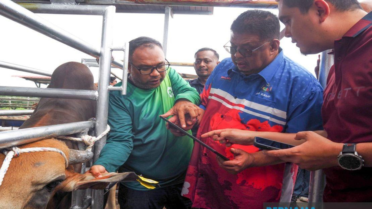 Melaka Deploys QR Tag System to Revolutionise Livestock Tracking and Owner Accountability