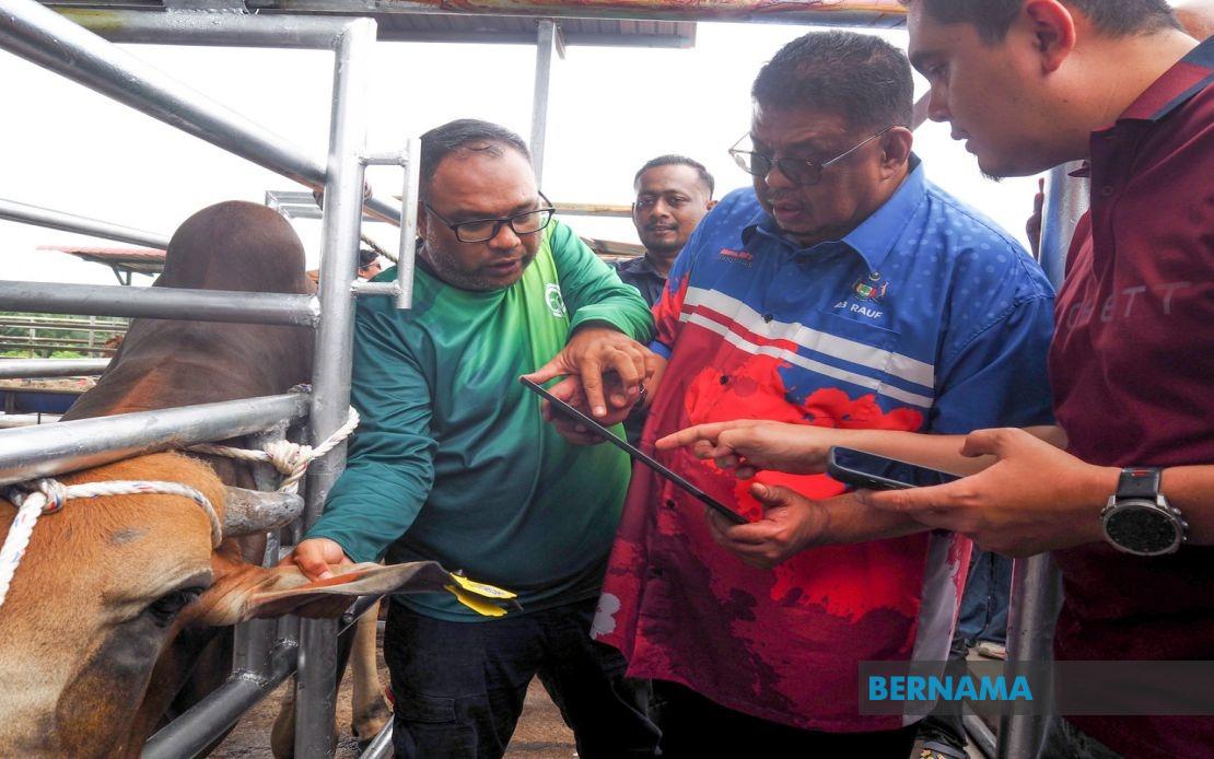 Melaka Deploys QR Tag System to Revolutionise Livestock Tracking and Owner Accountability